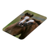 Magnet Flexible Foies jouant (Côté Gauche)