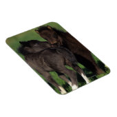 Magnet Flexible Foies miniatures 1 (Côté Droit)