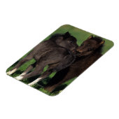 Magnet Flexible Foies miniatures 1 (Côté Gauche)