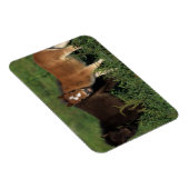 Magnet Flexible Foies miniatures en herbe (Côté Droit)