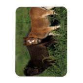 Magnet Flexible Foies miniatures en herbe (Vertical)