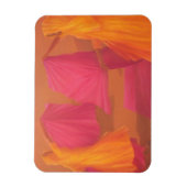 Magnet Flexible Folding Saris 2010 (Vertical)