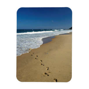 Magnet Flexible Footprints On Beach, Mabibi, Thongaland