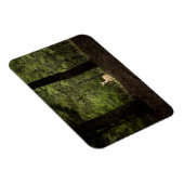 Magnet Flexible Forest | A White Tailed Deer in the Woods (Côté Droit)