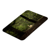 Magnet Flexible Forest | A White Tailed Deer in the Woods (Côté Gauche)