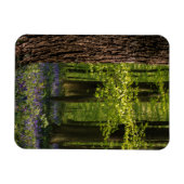 Magnet Flexible Forest | Bluebells en Belgique (Horizontal)