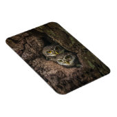 Magnet Flexible Forest | Deux Owls Looking (Côté Droit)