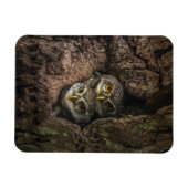 Magnet Flexible Forest | Deux Owls Looking (Horizontal)