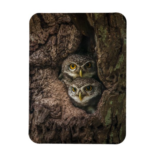 Magnet Flexible Forest | Deux Owls Looking (Vertical)