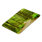 Magnet Flexible Forest | Parc national olympic (Côté Gauche)