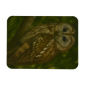 Magnet Flexible Forest Sentinel - Tawny Owl Wildlife Art (Horizontal)
