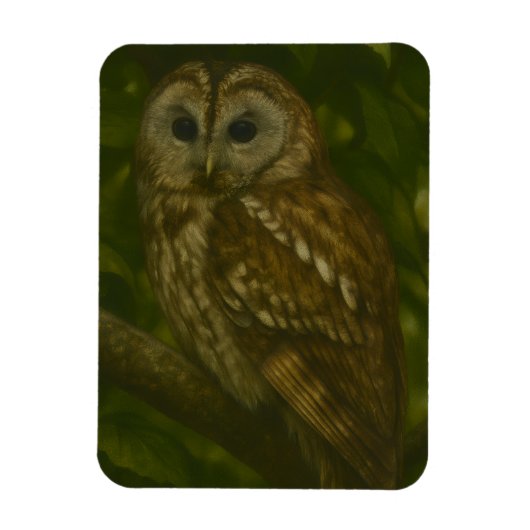 Magnet Flexible Forest Sentinel - Tawny Owl Wildlife Art (Vertical)