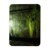 Magnet Flexible Forêt | Auvergne France (Vertical)