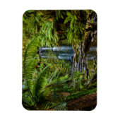 Magnet Flexible Forêt | Beauchamp Falls Australie (Vertical)