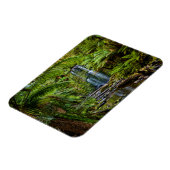 Magnet Flexible Forêt | Beauchamp Falls Australie (Côté Gauche)