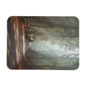 Magnet Flexible Forêt | Bois (Horizontal)