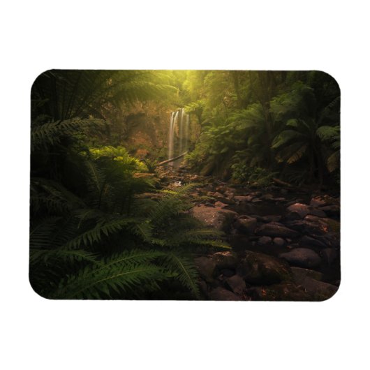 Magnet Flexible Forêt | Cascade Sunlight Highlights (Horizontal)