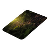 Magnet Flexible Forêt | Cascade Sunlight Highlights (Côté Gauche)