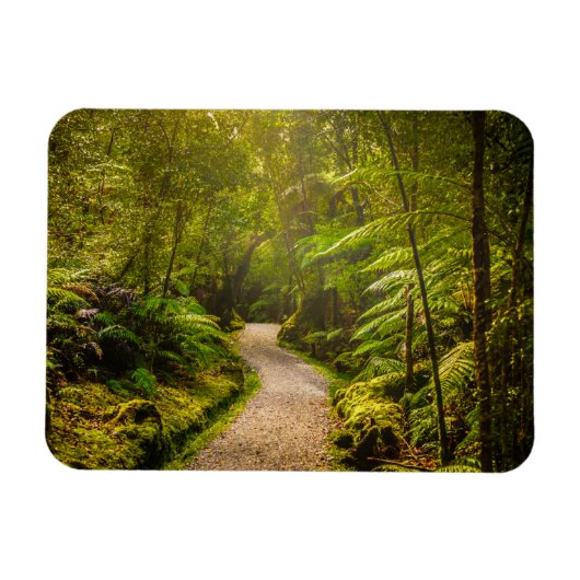 Magnet Flexible Forêt | Chemin De Marche Dans La Forêt (Horizontal)