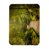 Magnet Flexible Forêt | Chemin De Marche Dans La Forêt (Vertical)