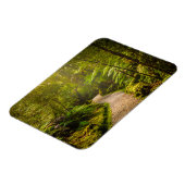 Magnet Flexible Forêt | Chemin De Marche Dans La Forêt (Côté Gauche)