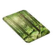 Magnet Flexible Forêt dans le parc national Killarney | Kerry, Irl (Côté Droit)