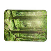 Magnet Flexible Forêt dans le parc national Killarney | Kerry, Irl (Horizontal)