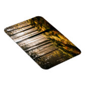 Magnet Flexible Forêt d'automne avec rayons solaires (Côté Droit)