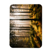 Magnet Flexible Forêt d'automne avec rayons solaires (Vertical)
