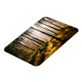 Magnet Flexible Forêt d'automne avec rayons solaires (Côté Gauche)