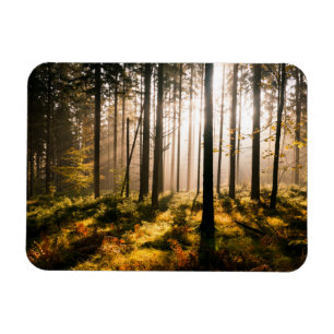 Magnet Flexible Forêt de chute avec des Sunrays