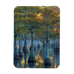 Magnet Flexible Forêt de cyprès de bassin