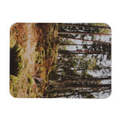 Magnet Flexible Forêt de Fairytale dans l'archipel suédois (Horizontal)