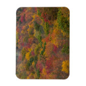 Magnet Flexible Forêt de feuillus dans le comté de Randolph, Virgi (Vertical)