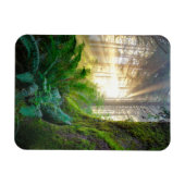 Magnet Flexible Forêt de la côte pacifique, Oregon (Horizontal)