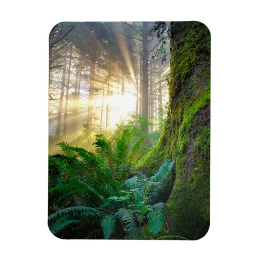 Magnet Flexible Forêt de la côte pacifique, Oregon (Vertical)