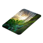 Magnet Flexible Forêt de la côte pacifique, Oregon (Côté Gauche)