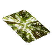 Magnet Flexible Forêt de pluie verte (Côté Droit)