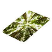 Magnet Flexible Forêt de pluie verte (Côté Gauche)