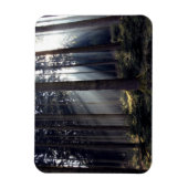 Magnet Flexible Forêt en Bavière (Vertical)