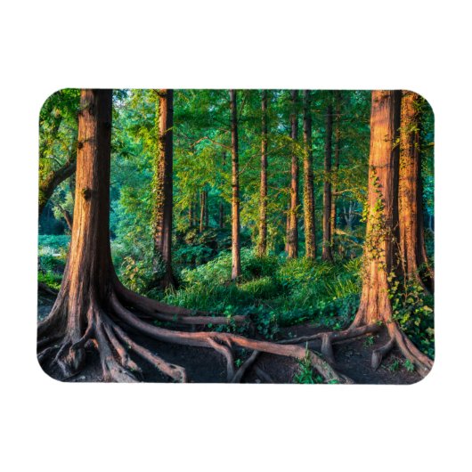 Magnet Flexible Forêt en été (Horizontal)
