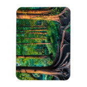 Magnet Flexible Forêt en été (Vertical)