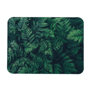 Magnet Flexible Forêt Fermes des bois