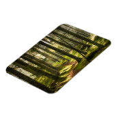 Magnet Flexible Forêt | Forêt boréale Suède (Côté Gauche)