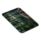 Magnet Flexible Forêt | Forêt Noire Allemagne (Côté Droit)