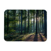 Magnet Flexible Forêt | Forêt Noire Allemagne (Horizontal)