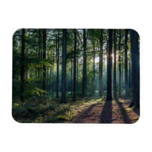 Magnet Flexible Forêt Forêt Noire Allemagne