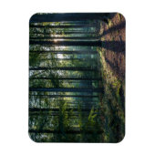 Magnet Flexible Forêt | Forêt Noire Allemagne (Vertical)