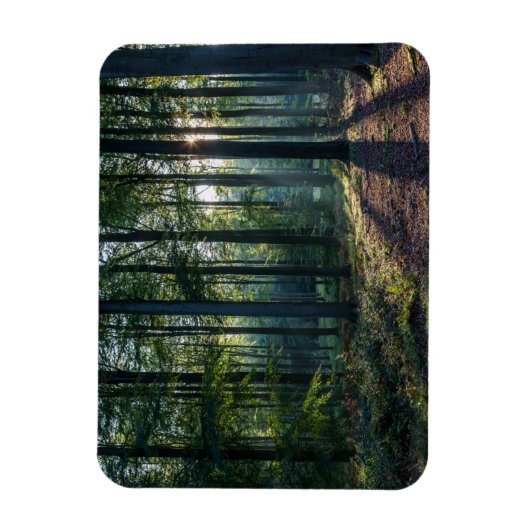 Magnet Flexible Forêt | Forêt Noire Allemagne (Vertical)