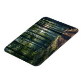 Magnet Flexible Forêt | Forêt Noire Allemagne (Côté Gauche)